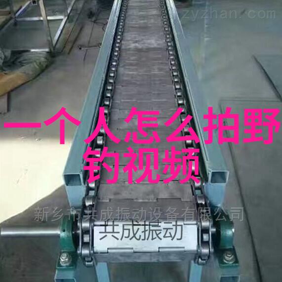 钓鲶鱼用什么饵最好钓