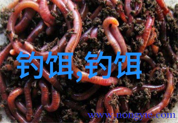 蚯蚓蘸什么上鱼最快