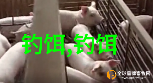 钓友公认十款性价比高的鱼饵