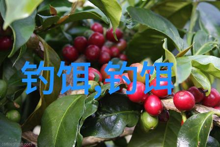 钓花鲢鱼用什么料最好