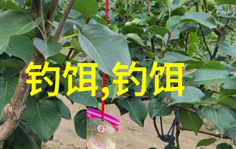 钓草鱼最好用什么饵料